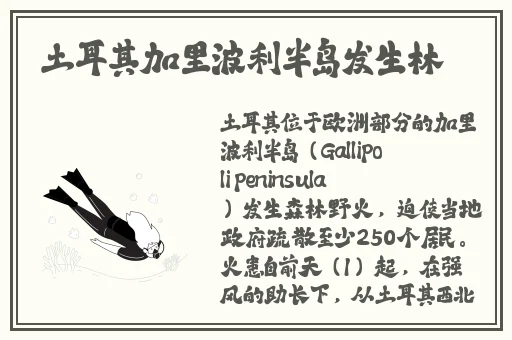 差差差的30分钟无掩盖HB